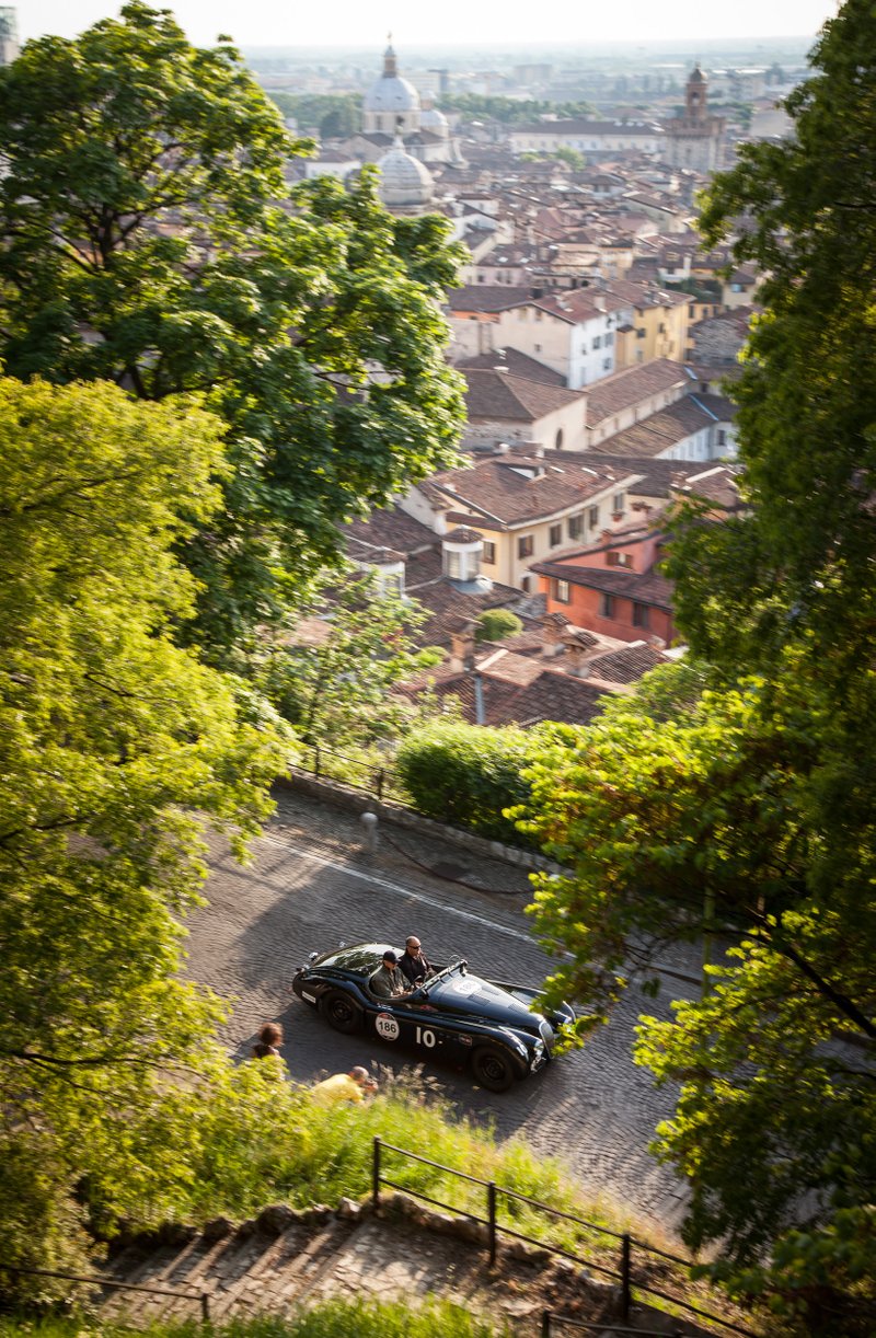 Illustration for article titled This Was Jaguar At The Mille Miglia